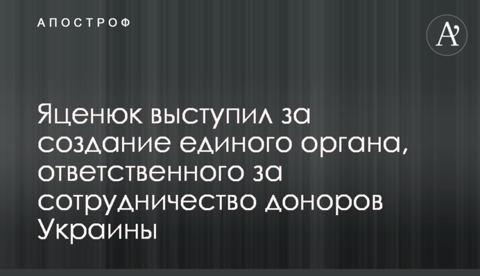 Яценюк виступив за створення єдиного органу, відповідального за співпрацю донорів України