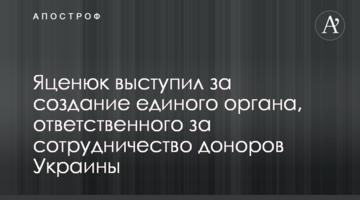 Яценюк виступив за створення єдиного органу, відповідального за співпрацю донорів України