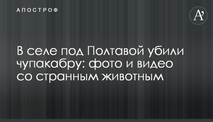 В селе под Полтавой убили чупакабру: фото и видео со странным животным