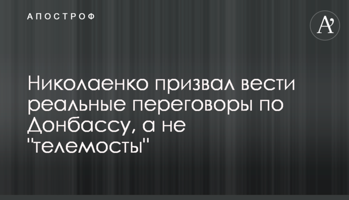 Ніколаєнко закликав вести реальні переговори по Донбасу, а не 