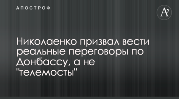 Николаенко призвал вести реальные переговоры по Донбассу, а не "телемосты"