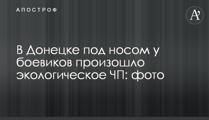 У Донецьку під носом у бойовиків сталася екологічна НП: фото