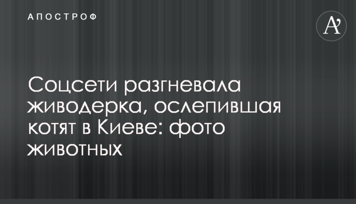 Соцсети разгневала живодерка, ослепившая котят в Киеве: фото животных