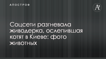 Соцмережі розгнівала жіводерка, засліпив кошенят в Києві: фото тварин