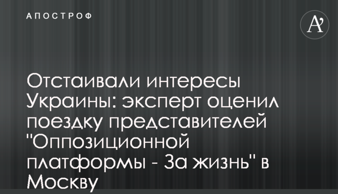 Отстаивали интересы Украины: эксперт оценил поездку представителей 