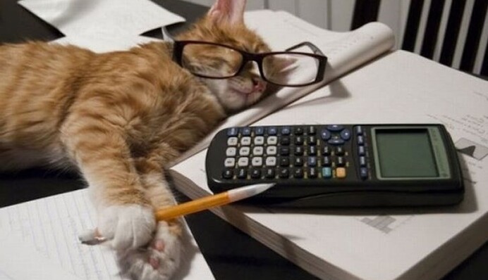 День бухгалтера: лучшие стихи, смс и поздравления в фото и видео