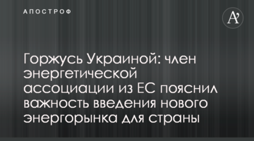 Пишаюся України: член енергетичної асоціації з ЄС пояснив важливість запровадження нового енергоринку для країни