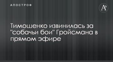 Тимошенко извинилась за "собачьи бои" Гройсмана в прямом эфире