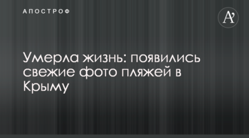 Померло життя: з'явилися свіжі фото пляжів у Криму