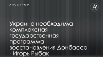 Украине необходима комплексная государственная программа восстановления Донбасса - Игорь Рыбак