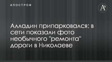 Алладин припарковался: в сети показали фото необычного "ремонта" дороги в Николаеве
