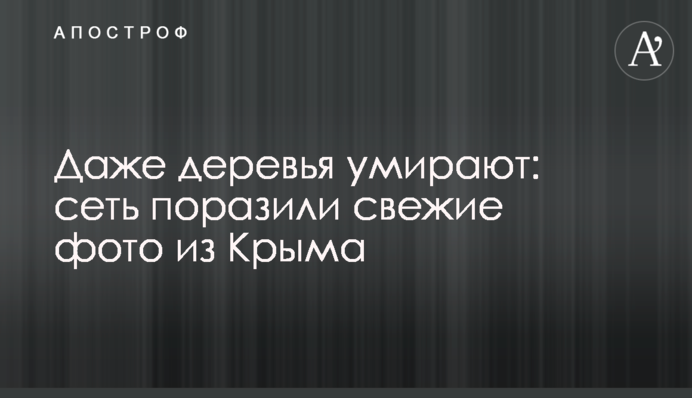 Навіть дерева помирають: мережу вразили свіжі фото з Криму