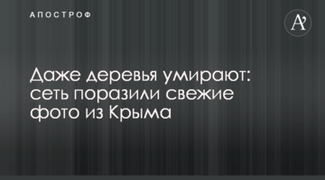 Навіть дерева помирають: мережу вразили свіжі фото з Криму