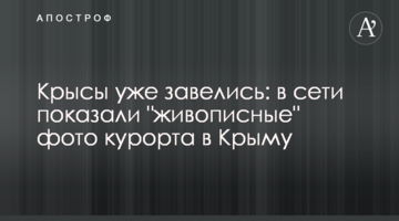 Щури вже завелися: в мережі показали "мальовничі" фото курорту в Криму