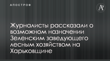 Журналисты рассказали о возможном назначении Зеленским заведующего лесным хозяйством в Харьковской области