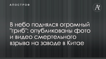 У небо піднявся величезний "гриб": опубліковано фото і відео смертельного вибуху на заводі в Китаї
