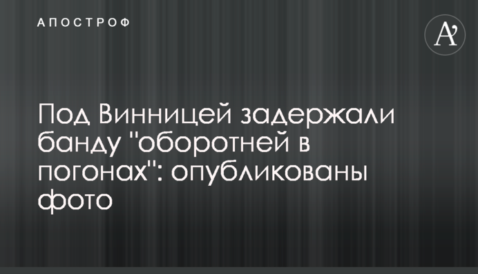 Під Вінницею затримали банду 