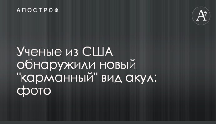 Ученые из США обнаружили новый 