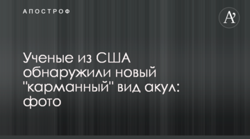 Вчені з США виявили новий "кишеньковий" вид акул: фото