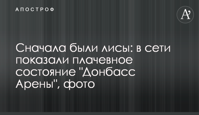 Спочатку були лисиці: в мережі показали плачевний стан 