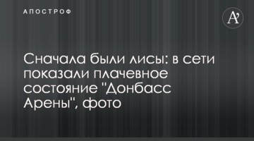 Спочатку були лисиці: в мережі показали плачевний стан "Донбас Арени", фото