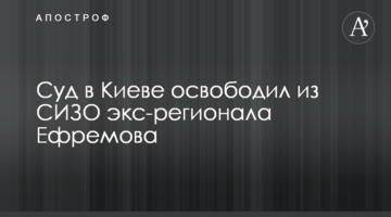 Суд в Киеве освободил из СИЗО экс-регионала Ефремова