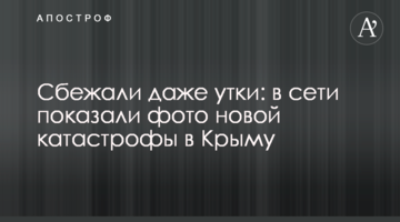 Втекли навіть качки: в мережі показали фото нової катастрофи в Криму