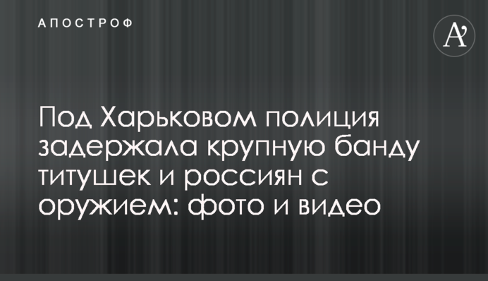 Під Харковом поліція затримала велику банду тітушок і росіян зі зброєю: фото і відео