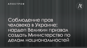 Соблюдение прав человека в Украине: нардеп Великин призвал создать Министерство по делам национальностей
