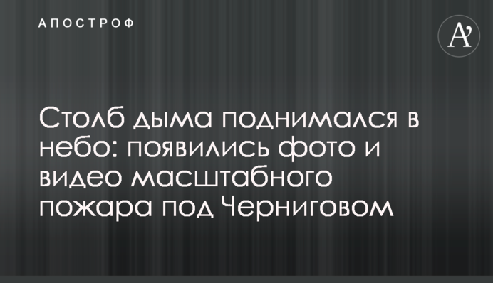 Стовп диму піднімався в небо: з'явилися фото і відео масштабної пожежі під Черніговом