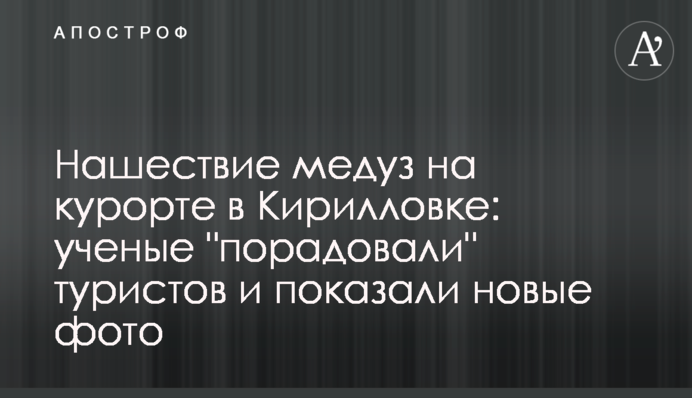 Нашестя медуз на курорті в Кирилівці: вчені 