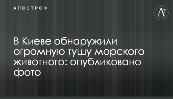 У Києві виявили величезну тушу морської тварини: опубліковано фото