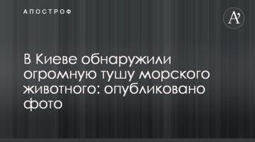 У Києві виявили величезну тушу морської тварини: опубліковано фото