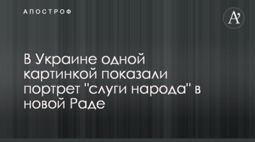 В Україні однією картинкою показали портрет "слуги народу" в новій Раді