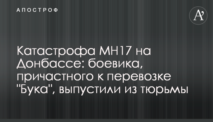 Катастрофа МН17 на Донбассе: боевика, причастного к перевозке 