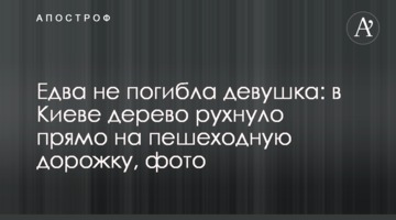 Ледь не загинула дівчина: у Києві дерево впало прямо на пішохідну доріжку, фото