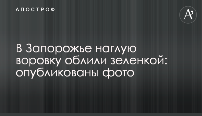 В Запорожье наглую воровку облили зеленкой: опубликованы фото