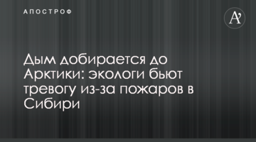 ​Дым добирается до Арктики: экологи бьют тревогу из-за пожаров в Сибири