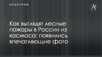 Как выглядят лесные пожары в России из космоса: появились впечатляющие фото