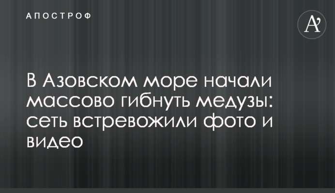 В Азовском море начали массово гибнуть медузы: сеть встревожили фото и видео