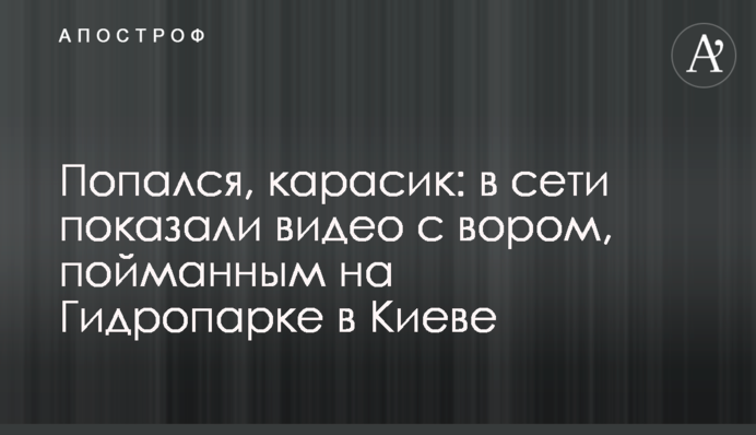 Попался, карасик: в сети показали видео с вором, пойманным на Гидропарке в Киеве