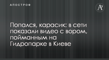 Попався, карасик: в мережі показали відео зі злодієм, спійманим на Гідропарку в Києві