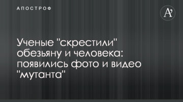 Вчені "схрестили" мавпу і людину: з'явилися фото і відео "мутанта"