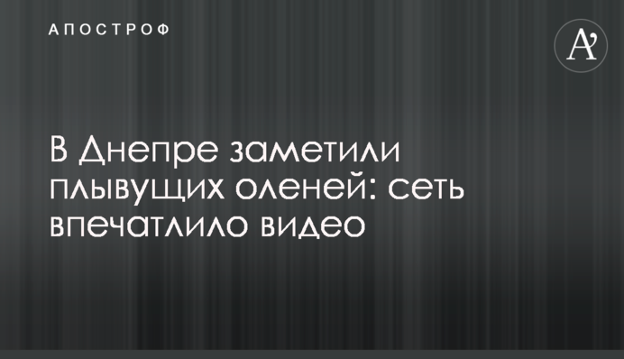 У Дніпрі помітили плаваючих оленів: мережу вразило відео