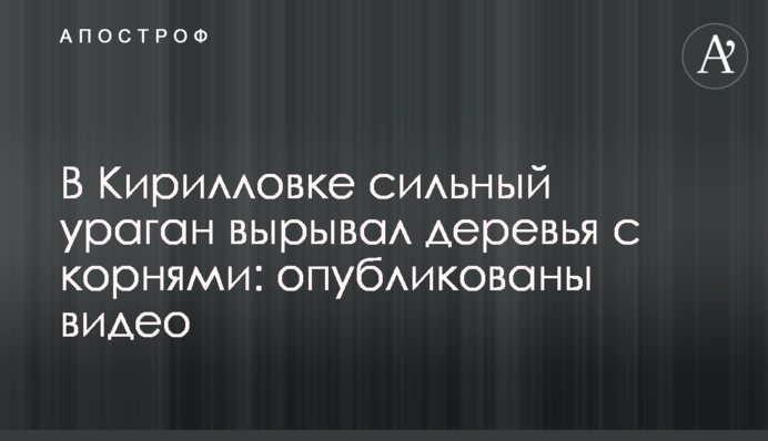 У Кирилівці сильний ураган виривав дерева з корінням: опубліковано відео