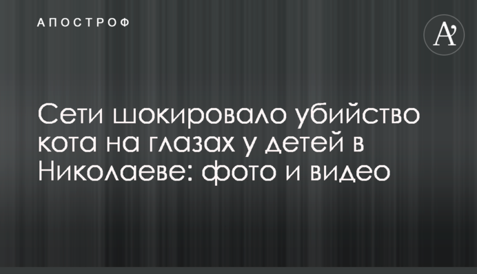 Сети шокировало убийство кота на глазах у детей в Николаеве: фото и видео