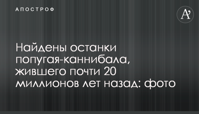 Знайдено останки папуги-канібала, який жив майже 20 мільйонів років тому: фото