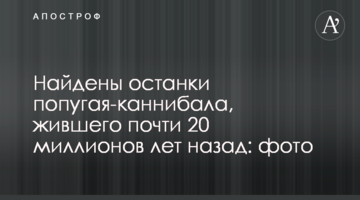 Знайдено останки папуги-канібала, який жив майже 20 мільйонів років тому: фото