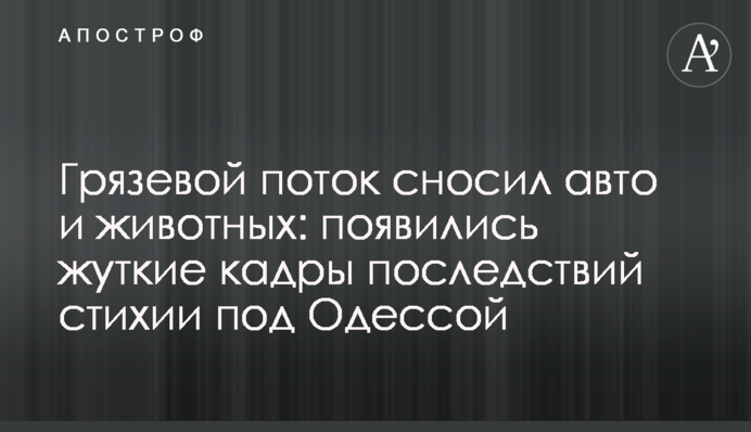 Грязьовий потік зносив авто і тварин: з'явилися моторошні кадри наслідків стихії під Одесою