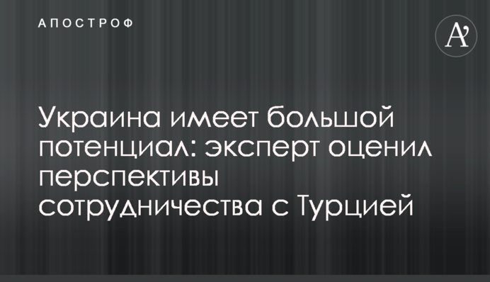 Украина имеет большой потенциал: эксперт оценил перспективы сотрудничества с Турцией